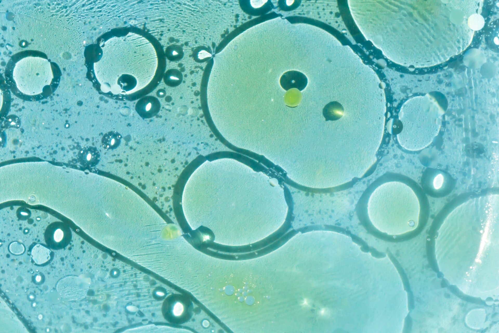 Abstract macro image of blue and green oil droplets and bubbles symbolizing molecular research and healthcare data analytics.