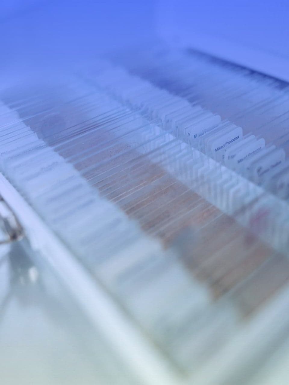 News — Why big pharma is partnering with this Chapel Hill data company - Triangle Busin | Grid
