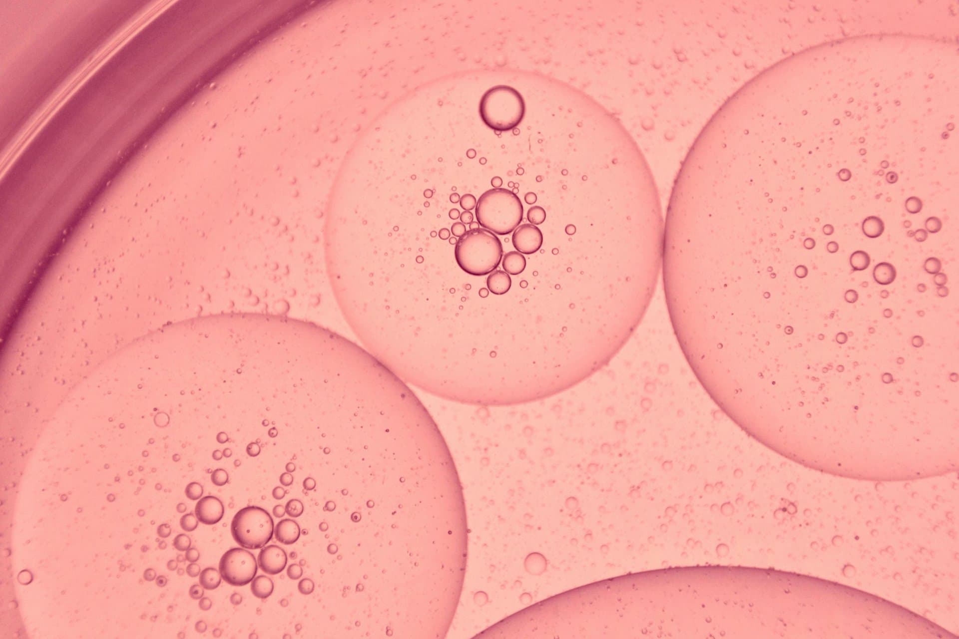 Macro close-up of pink cosmetic serum with translucent oil bubbles and droplets, representing skincare and clinical formulations.