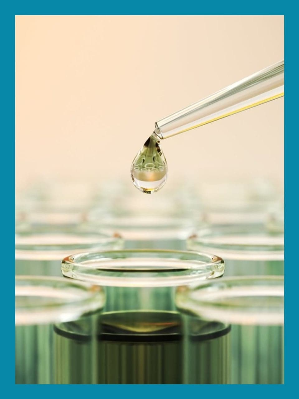 News — TARGET-NASH Offers Unprecedented Glimpse into Growing Public Health Concerns wit | Grid