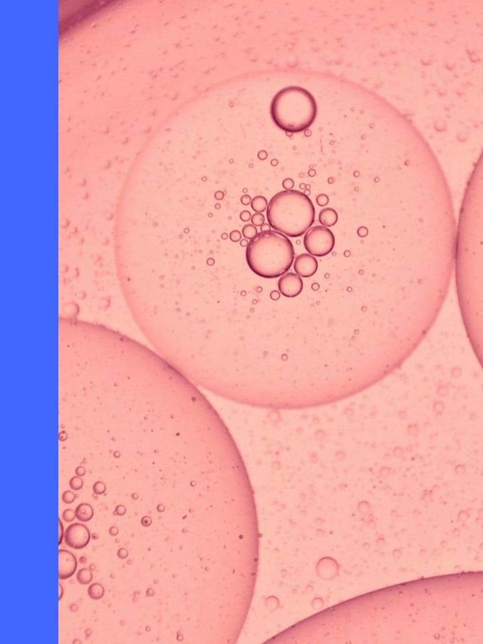 News — TARGET PharmaSolutions Expands TARGET-DERM Research Community with Two New Indus | Grid