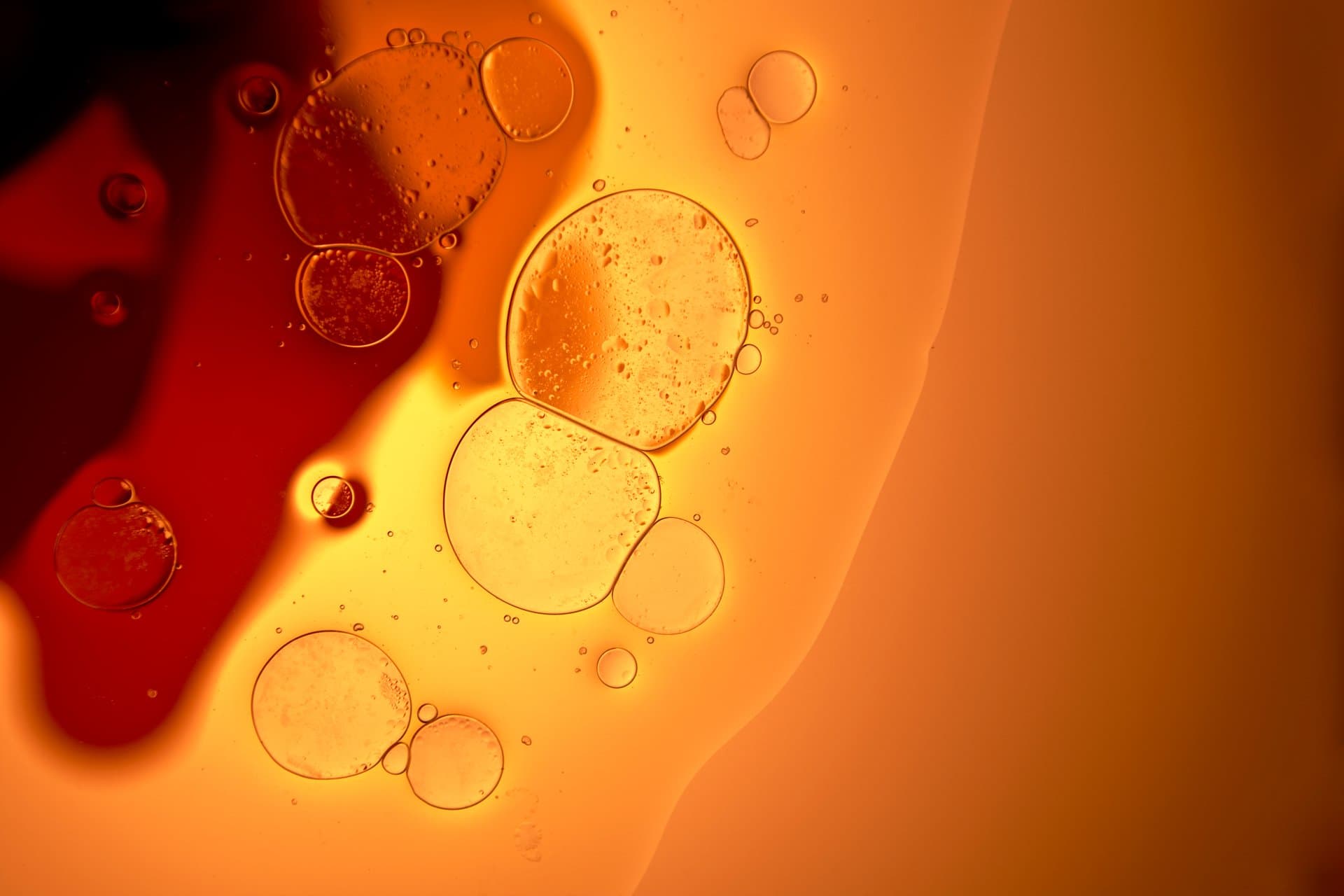 Macro photograph of translucent oil bubbles on a vibrant orange and red gradient background, evoking scientific and biological imagery.