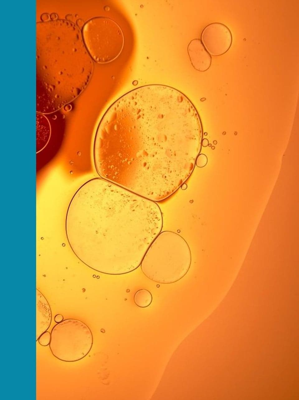 News — New Target RWE Research Validates Updated Liver Disease Terminology in Children | Grid