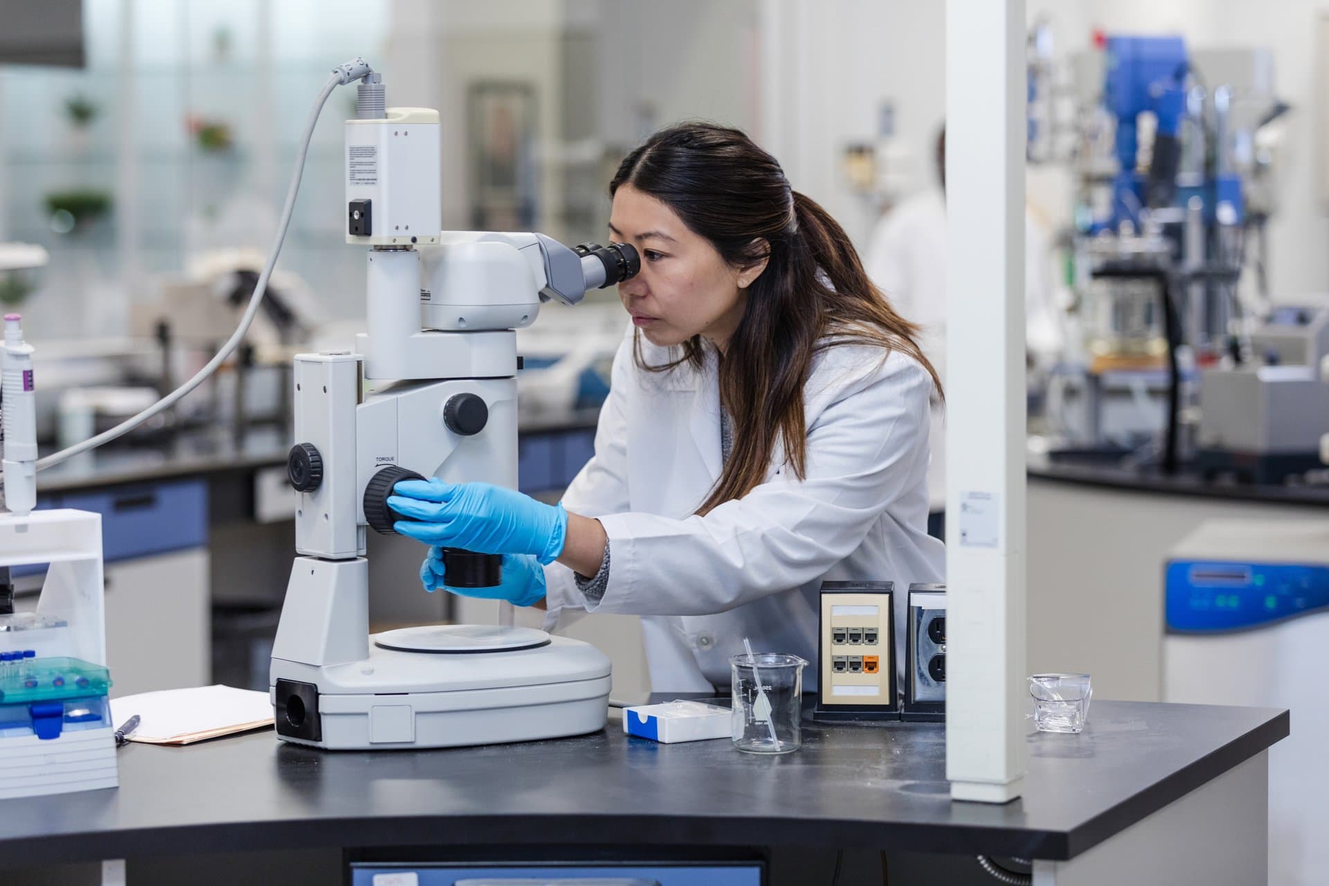 Asian female scientist in white lab coat and blue gloves looking through microscope while conducting healthcare research in modern laboratory.